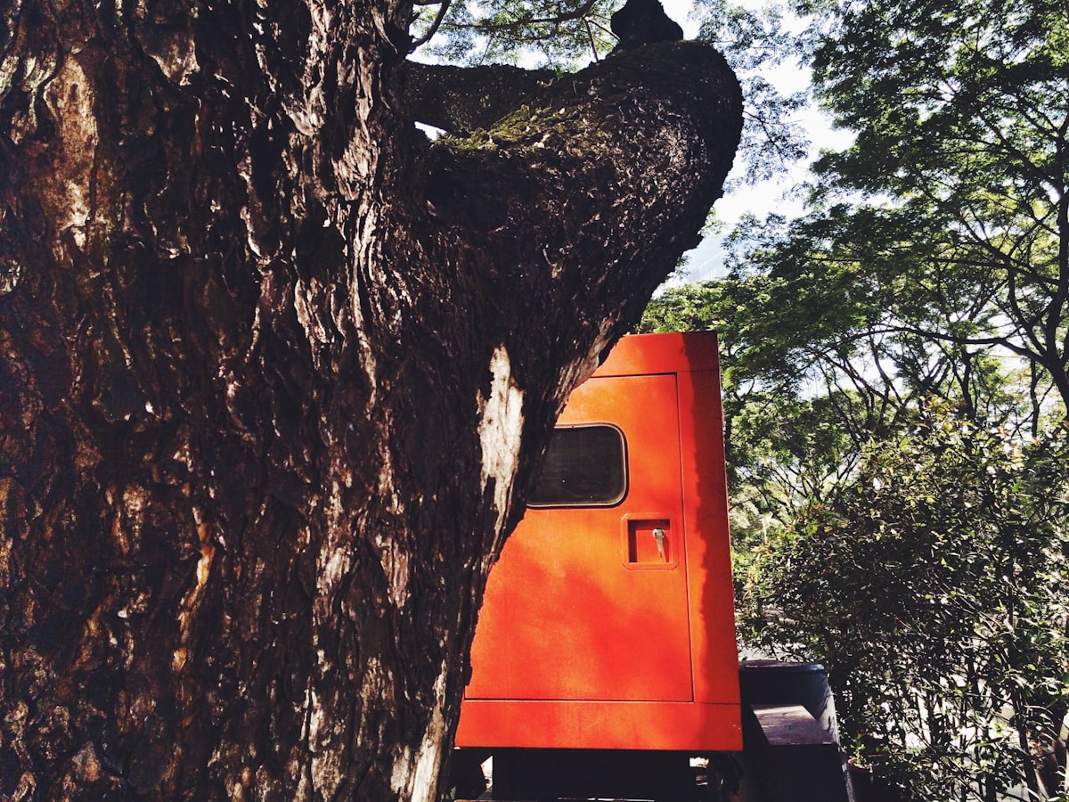 Branch Out Tree Services LLC